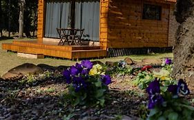 Cabana Pequeno Bosque som dás Águas